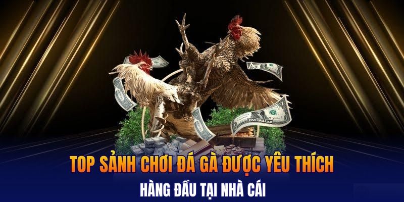 Top sảnh chơi đá gà được yêu thích hàng đầu tại nhà cái